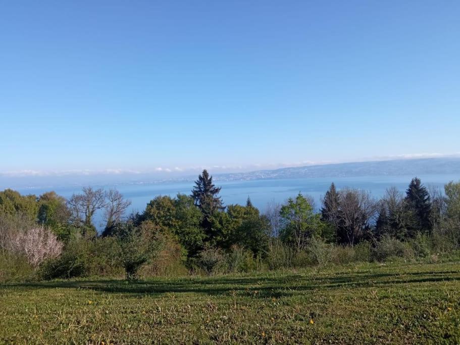 Lugrin Proche Du Lac Et Montagne ภายนอก รูปภาพ
