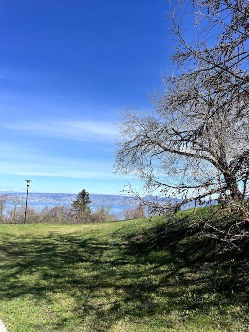 Lugrin Proche Du Lac Et Montagne ภายนอก รูปภาพ